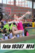 10387_M14-