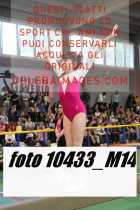 10433_M14-