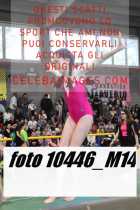 10446_M14-