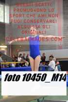 10450_M14-