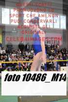 10486_M14-