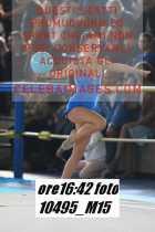 10495_M15-
