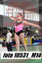 10531_M14-
