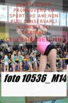 10536_M14-