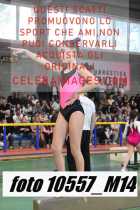 10557_M14-