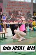 10581_M14-