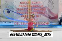 10593_M15-