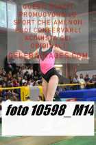 10598_M14-