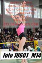10601_M14-