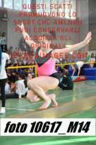 10617_M14-