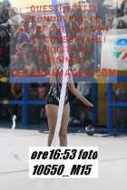 10650_M15-