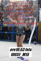10651_M15-