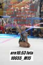 10655_M15-