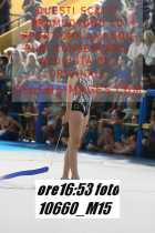 10660_M15-