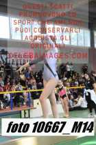 10667_M14-