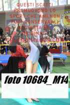 10684_M14-