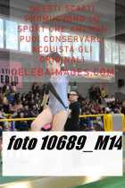 10689_M14-