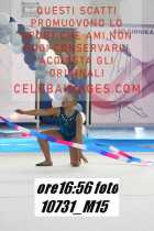 10731_M15-