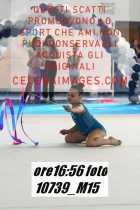 10739_M15-