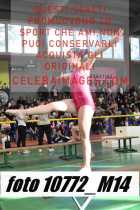 10772_M14-