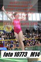 10773_M14-