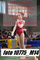 10775_M14-