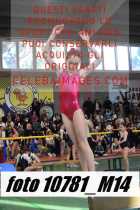10781_M14-