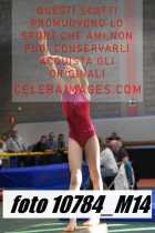 10784_M14-