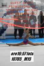10785_M15-