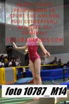 10787_M14-