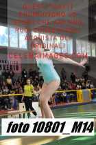 10801_M14-
