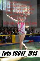 10817_M14-