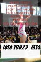 10823_M14-