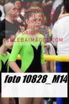 10828_M14-
