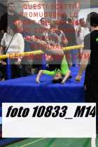 10833_M14-