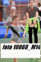 10868_M14-