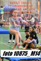 10875_M14-