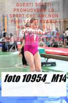 10954_M14-