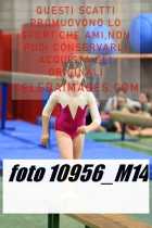 10956_M14-