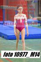 10977_M14-