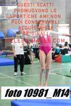 10981_M14-