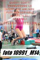 10991_M14-
