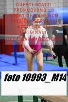 10993_M14-