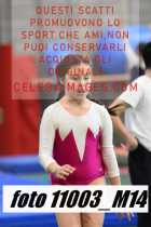 11003_M14-