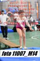 11007_M14-