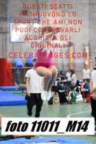11011_M14-