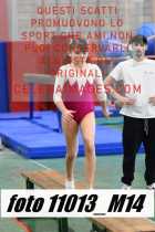 11013_M14-