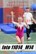 11014_M14-