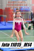 11015_M14-