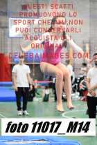 11017_M14-